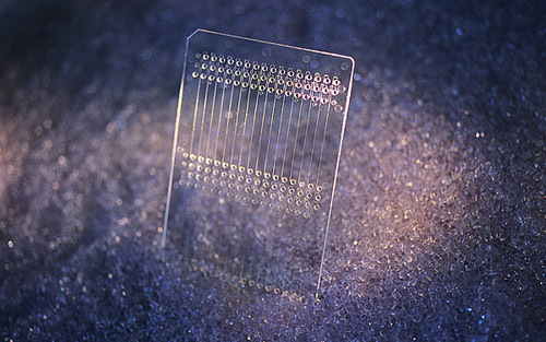 Biochips made of chemical resistant and mechanical stable borosilicate glass